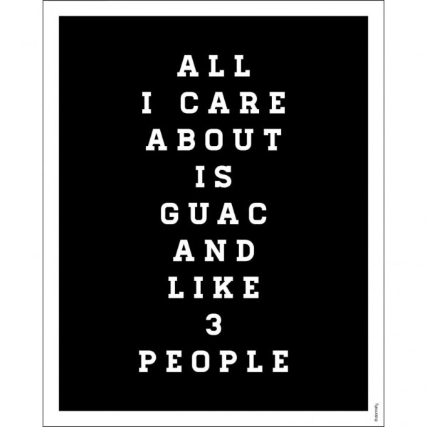 dormify_posters_summer15_allicareaboutisguac