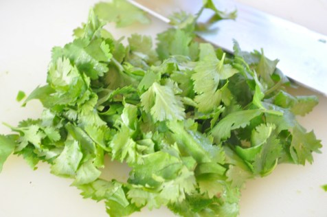 Sue at Home Guacamole cilantro